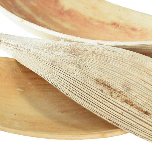 Artikel Kokosnootschalen kokosbladeren gebleekt 22-42cm 25st