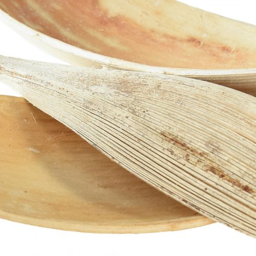 Artikel Kokosschalen, gebleekte kokosbladeren, 22-42cm, 25 stuks