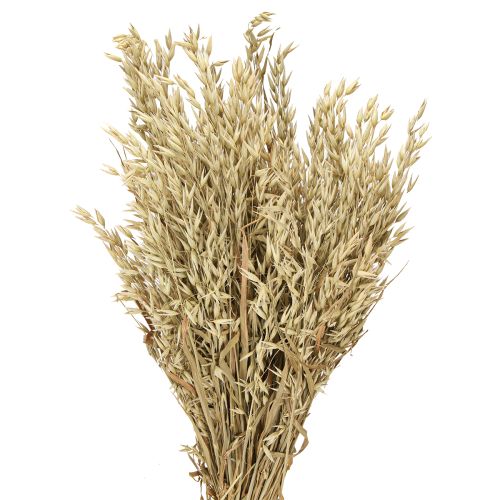 Floristik24 Gedroogde haver decoratieve haverbos natuurlijke decoratiebos 60cm 200g
