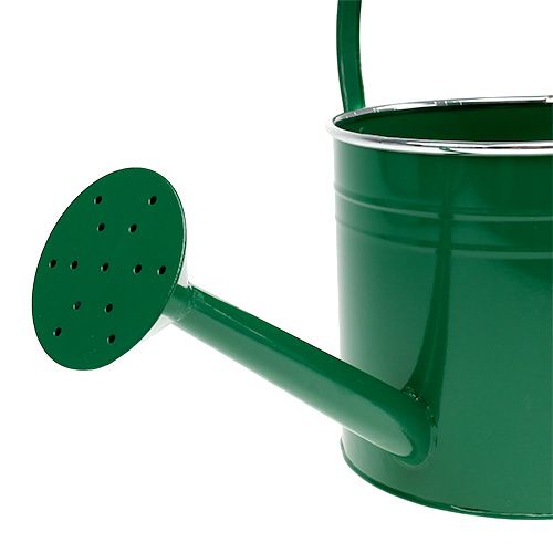 Floristik24 Decoratieve gieter donkergroen Ø20cm H18cm