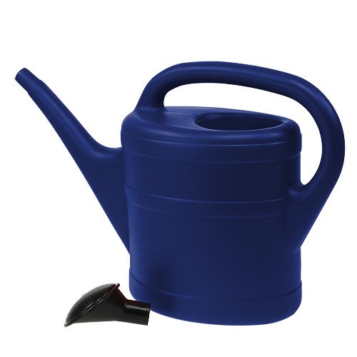 Floristik24 Gieter 5l blauw
