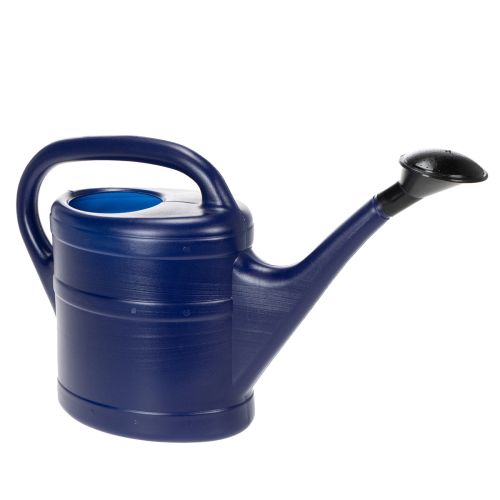Floristik24 Gieter 5 liter blauw