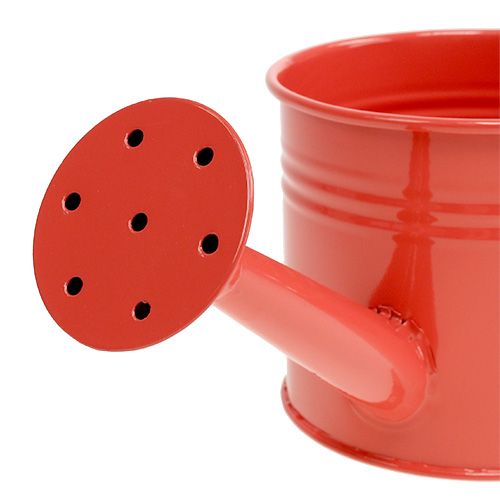 Floristik24 Gieter Orange Mix Ø11cm H9cm 8st