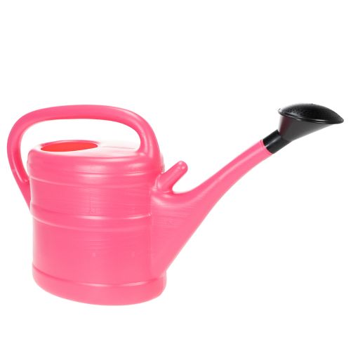 Floristik24 Roze gieter 10 liter