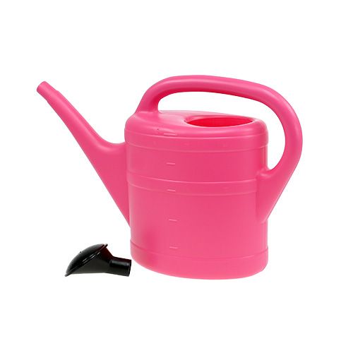 Floristik24 Gieter in roze 5l