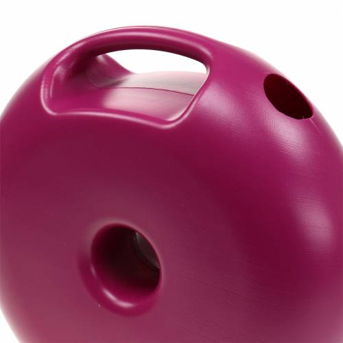 Floristik24 Gieter Donut Pink 4.8l
