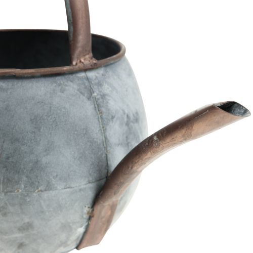 Floristik24 Decoratieve gieter voor planten, plantenbak 29,5cm H22cm