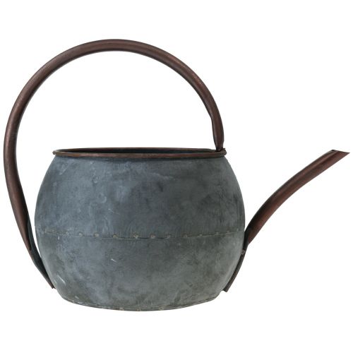 Floristik24 Decoratieve gieter voor planten, plantenbak 29,5cm H22cm