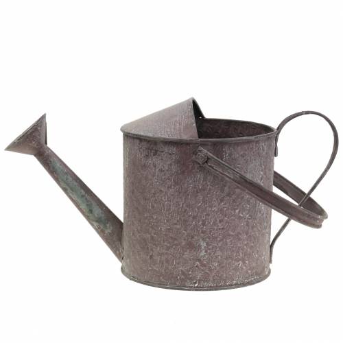Floristik24 Decoratieve gieter paars H15cm