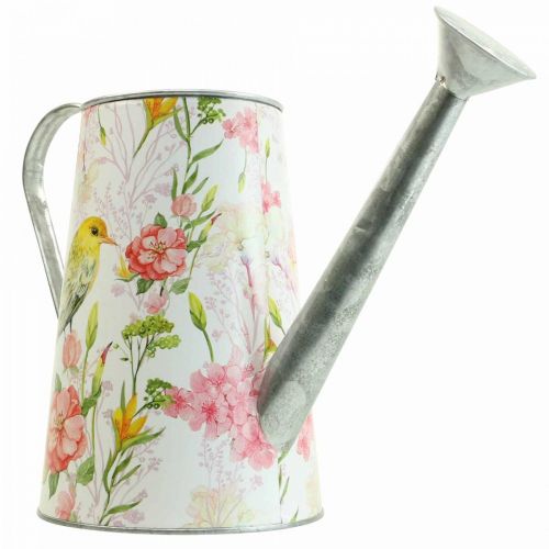 Floristik24 Decoratieve gieter metaal voor planten, plantenbak H22cm