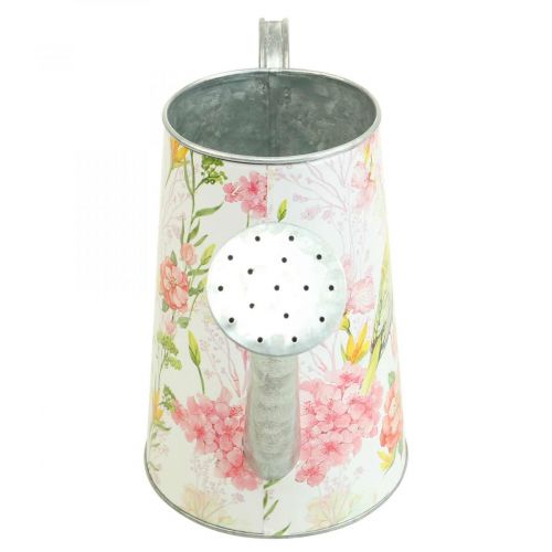 Floristik24 Decoratieve gieter metaal voor planten, plantenbak H22cm