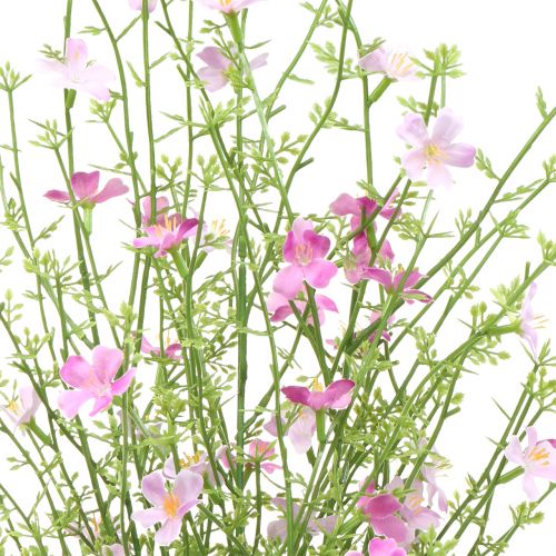 Floristik24 Gaspeldoorn struik lila 60cm
