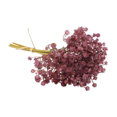 Artikel Gypsophila Gypsophila Gypsophila kunstpaars 35cm 5 st