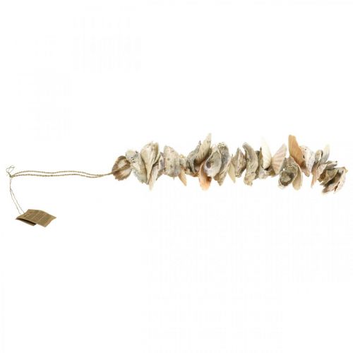 Floristik24 Schelpslinger, maritieme zomerdecoratie, natuurlijke schelpenketting natuurlijke kleuren L35cm