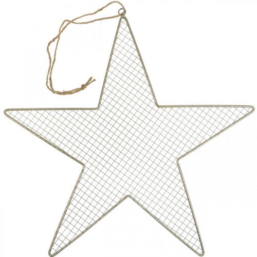 Metalen Ster Mesh Deco Ster Metal Deco Goud Ø57cm