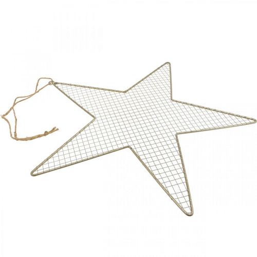 Artikel Metalen Ster Mesh Deco Ster Metal Deco Goud Ø57cm