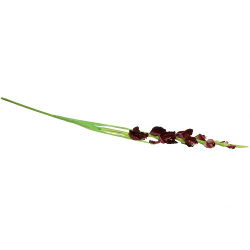 Floristik24 Gladiolen Real-Touch Bordeaux 93cm