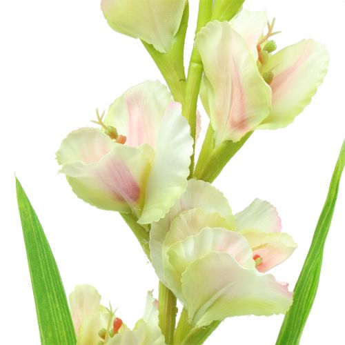 Floristik24 Gladiolen wit 93cm