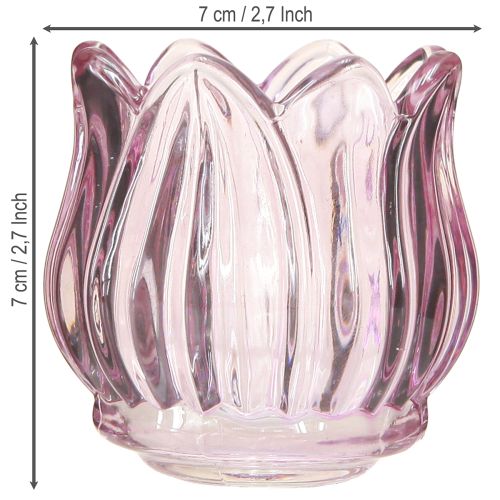 Artikel Glazen theelichthouder theelicht glas tulp paars Ø7cm H7cm 2st