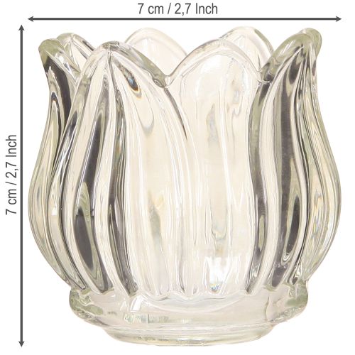 Artikel Glazen theelichthouder tulp theelicht glas helder Ø7cm H7cm 2st