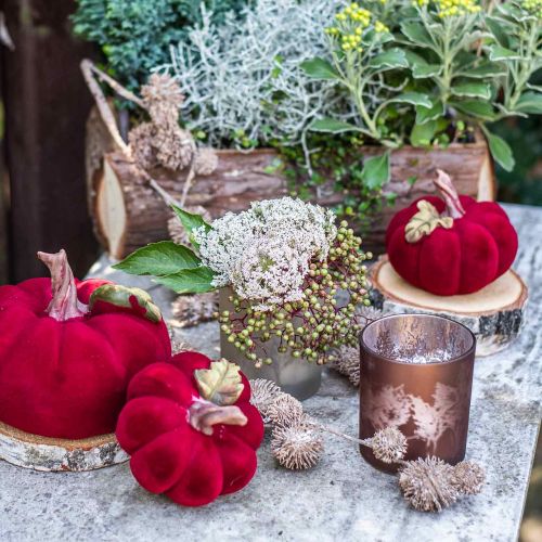 Floristik24 Glazen lantaarn, theelichtje glas met bladmotief, herfstdecoratie Ø8cm H9cm 2st