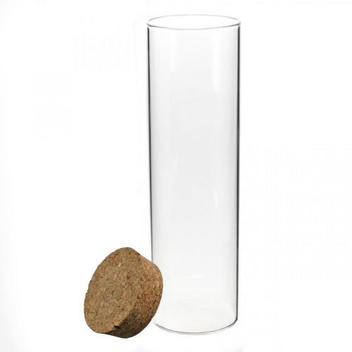Floristik24 Glas met kurken deksel Glazen cilinder met kurk Helder Ø6cm H21cm