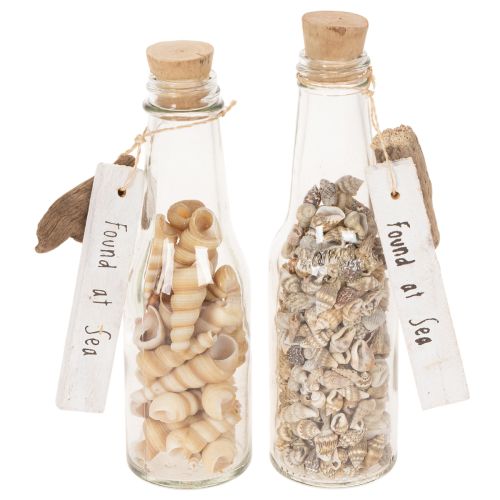 Glazen flesdecoratie met schelpen en hanger, maritieme tafeldecoratie, 17 cm, 2 stuks kopen | Floristik24.nl