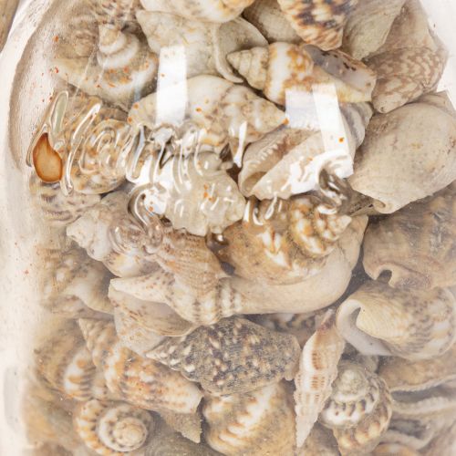 Glazen flesdecoratie met schelpen en hanger, maritieme tafeldecoratie, 17 cm, 2 stuks | Floristik24.nl