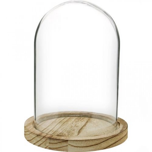 Floristik24 Decoratieve bel, glazen koepel met houten plaat, tafeldecoratie H16cm Ø12,5cm