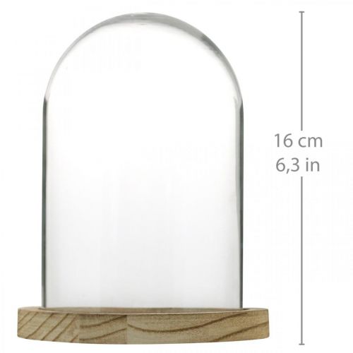 Artikel Decoratieve bel, glazen koepel met houten plaat, tafeldecoratie H16cm Ø12,5cm