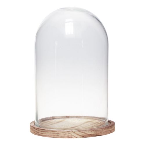 Floristik24 Glazen stolp met houten plaat glasdecoratie Ø17cm H25cm