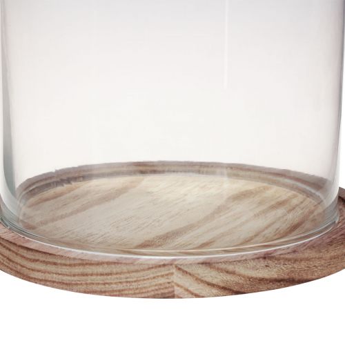 Floristik24 Glazen stolp met houten plaat glasdecoratie Ø17cm H25cm