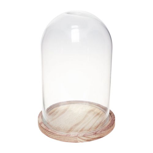 Floristik24 Glazen stolp met houten plaat glasdecoratie Ø17cm H25cm
