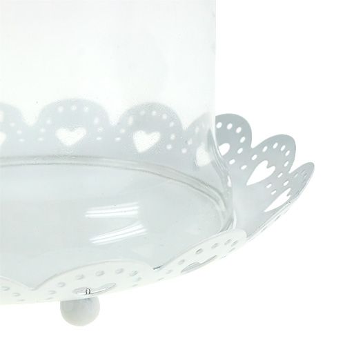 Floristik24 Glazen kap met plaat Ø15.5cm H17cm wit