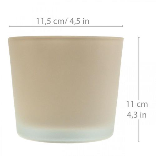 Artikel Glazen bloempot beige plantenbak glazen plantenbak Ø11.5cm H11cm