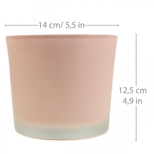 Bloempot glazen plantenbak roze glazen kuip Ø14.5cm H12.5cm