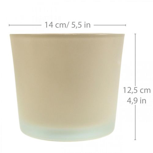 Artikel Glazen bloempot beige plantenbak glazen pot Ø14,5cm H12,5cm