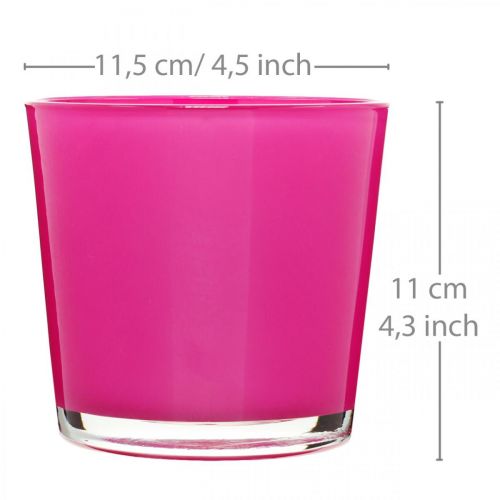 Floristik24 Glazen kuip, plantenbak roze Ø11.5cm H11cm