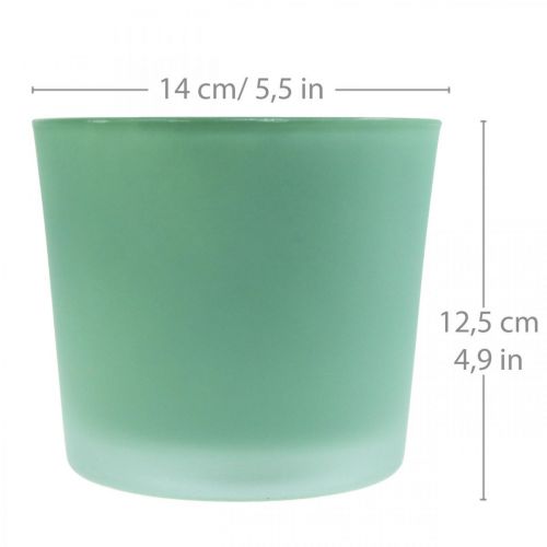 Artikel Glazen bloempot groene plantenbak glazen kuip Ø14.5cm H12.5cm