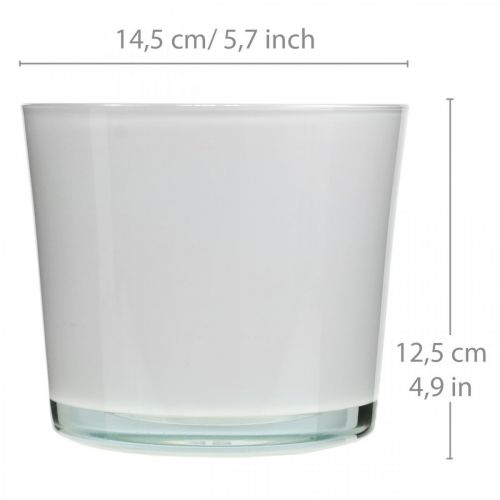 Artikel Glazen bloempot witte plantenbak glazen kuip Ø14.5cm H12.5cm