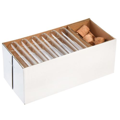 Floristik24 Minivazen glazen decoratieve glazen buizen met kurken H11,5cm 24 st