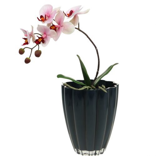 Floristik24 Glazen vaas "Bloom" donkerblauw Ø14cm H17cm