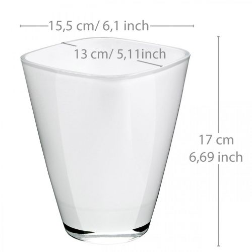 Floristik24 Orchidee plantenbak wit glas H17cm B13cm