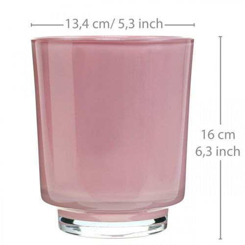 Floristik24 Orchidee plantenbak glas roze H16cm Ø13.4cm