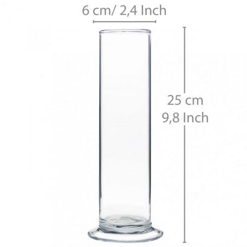 Floristik24 Glazen vaas met voet Helder Ø6cm H25cm