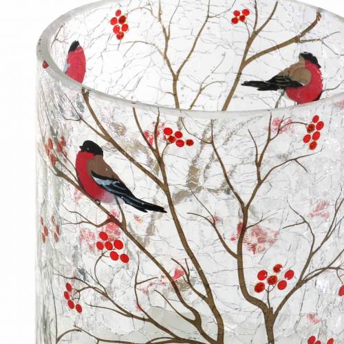 Floristik24 Lantaarn Goudvink Crackle Helder Ø9cm H10cm