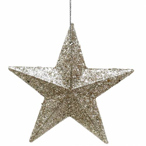 Artikel Glitterster champagne 9,5/5cm 18 st