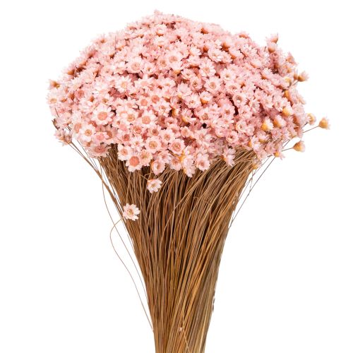 Floristik24 Decoratief bloemenboeket, ideaal voor de lente, Pasen en feestelijke gelegenheden, 44 cm