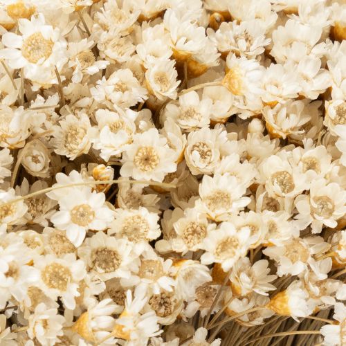 Artikel Boeket gedroogde bloemen, delicate bloesems voor natuurlijke huisdecoratie, 44 cm