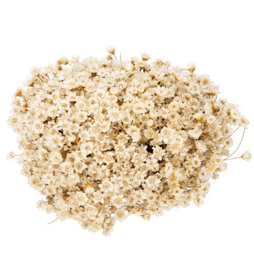 Artikel Boeket gedroogde bloemen, delicate bloesems voor natuurlijke huisdecoratie, 44 cm